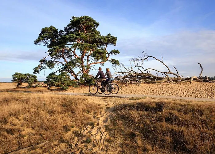 Roompot Bungalowpark 3*